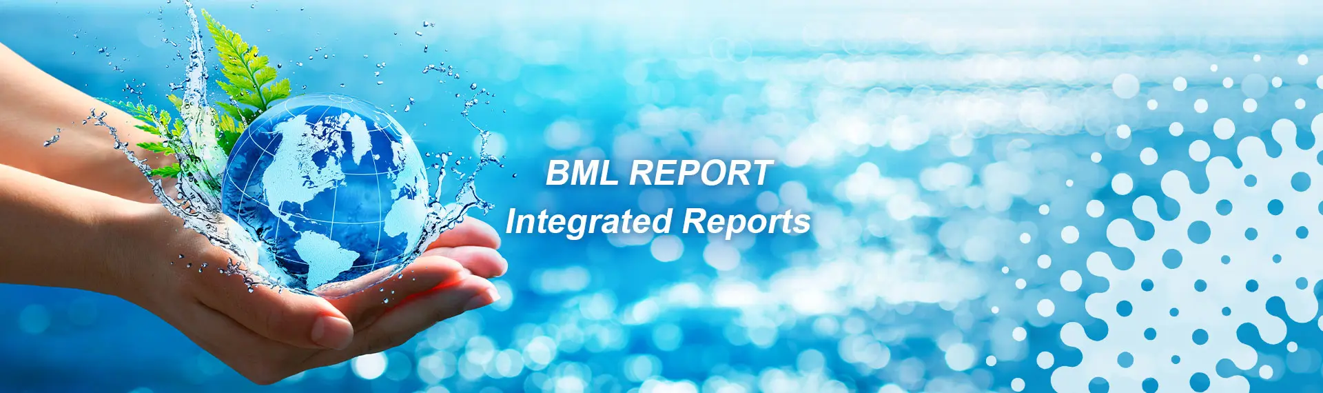 BML REPORT.Integrated Reports.